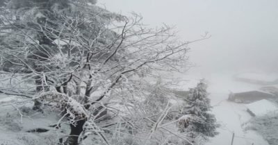 ताजा बर्फबारी से हिमाचल में जनजीवन पर पड़ा असर, ठंड का प्रकोप बचा
