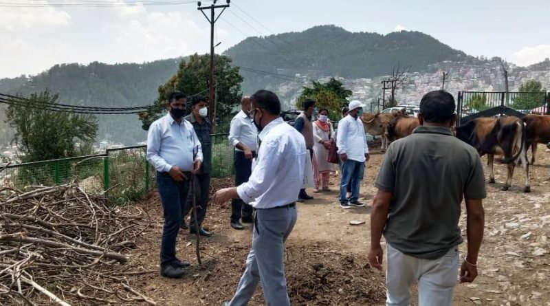 मनरेगा के तहत गऊ सदन के लिए शैड होगें निर्मित -बीआर वर्मा
