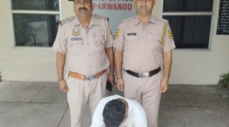 परवाणु में 16 वर्षीय नाबालिग के साथ दुष्कर्म, आरोपी गिरफ्तार