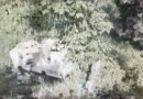 पंजाब से श्रद्धालुओं को लेकर लाैट रही निजी बस खाई में गिरी, 26 घायल, नम्होल में हुआ हादसा