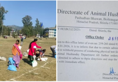 पशु मित्र भर्ती प्रक्रिया पर अगले आदेशों तक लगी रोक, शारीरिक परीक्षा पर हुआ था विवाद