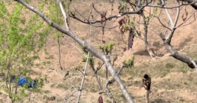 मल्होट में भेड़ पालक की ह.त्या, गर्दन पर कु.ल्हा.ड़ी से वार कर उतारा मौ..त के घाट